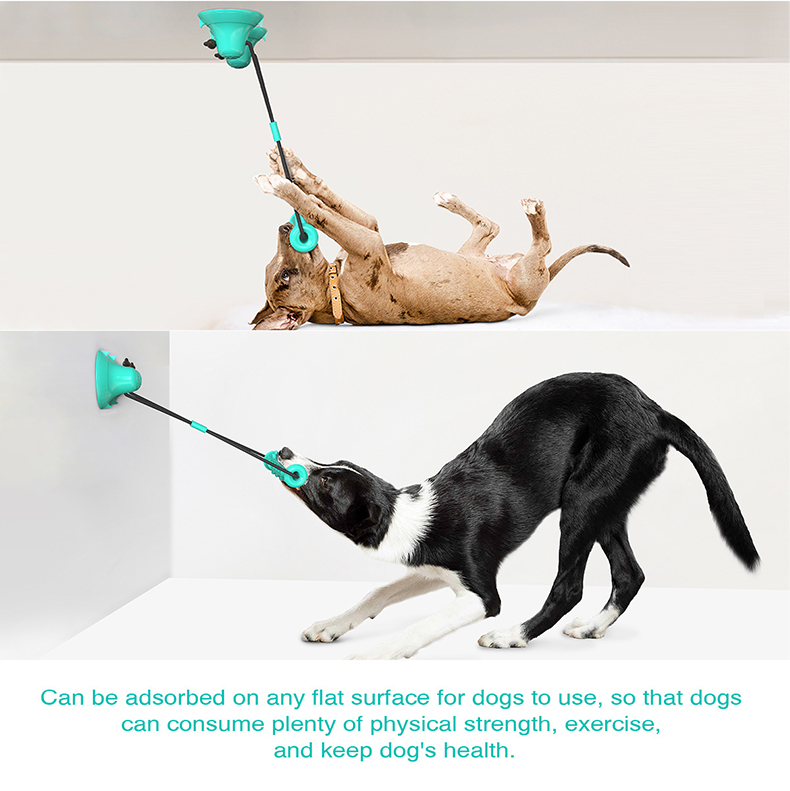 Suction Cup Dog Tug Toy - Hundespielzeug mit zwei Saugnäpfen zum Ziehen,