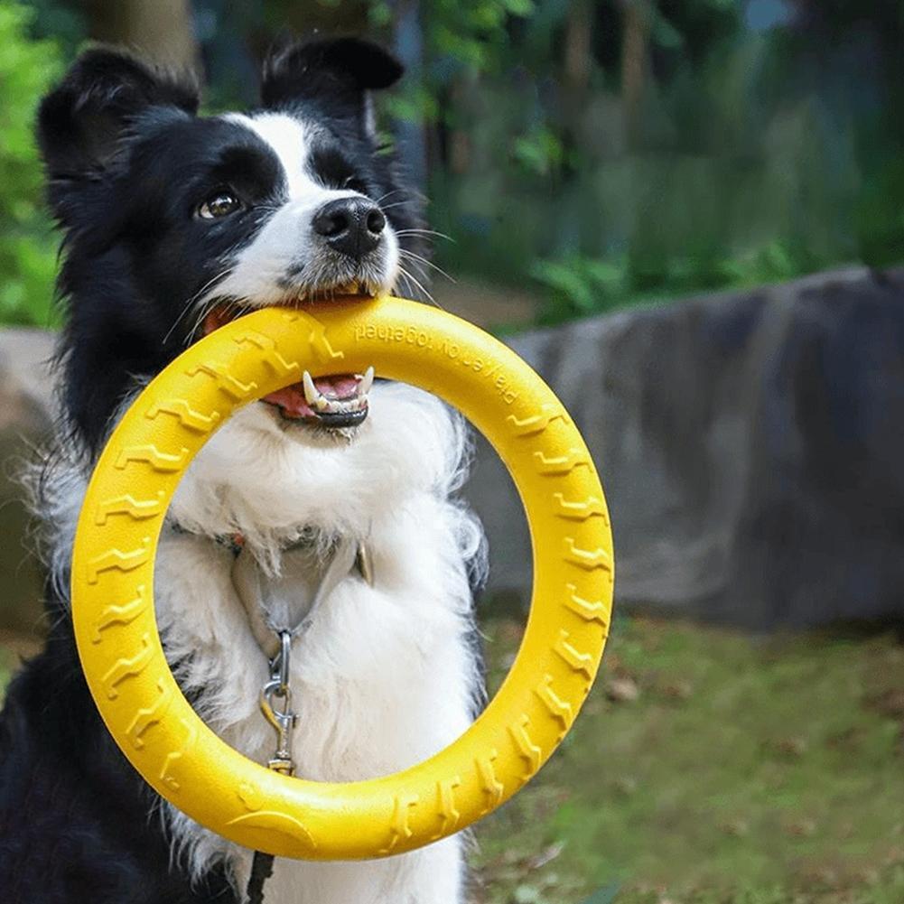 Indestructible Dog Chew Toy - Hunde-Ringspielzeug, unzerstörbar, zum Kauen, Fliegen, Schwimmen,