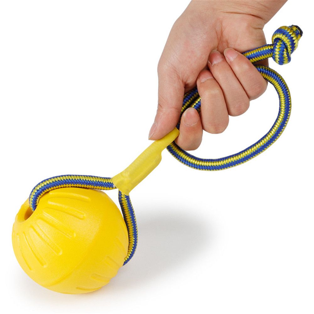 7 cm/9 cm Gelb Unzerstörbar Gu – Suction Cup Dog Tug Toy Bewertung und Preis