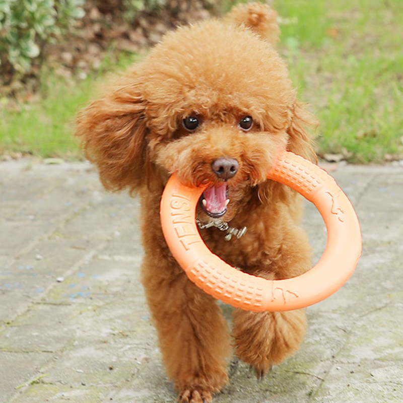 1pc orange Hundes pielzeug Hau – Suction Cup Dog Tug Toy Bewertung und Preis