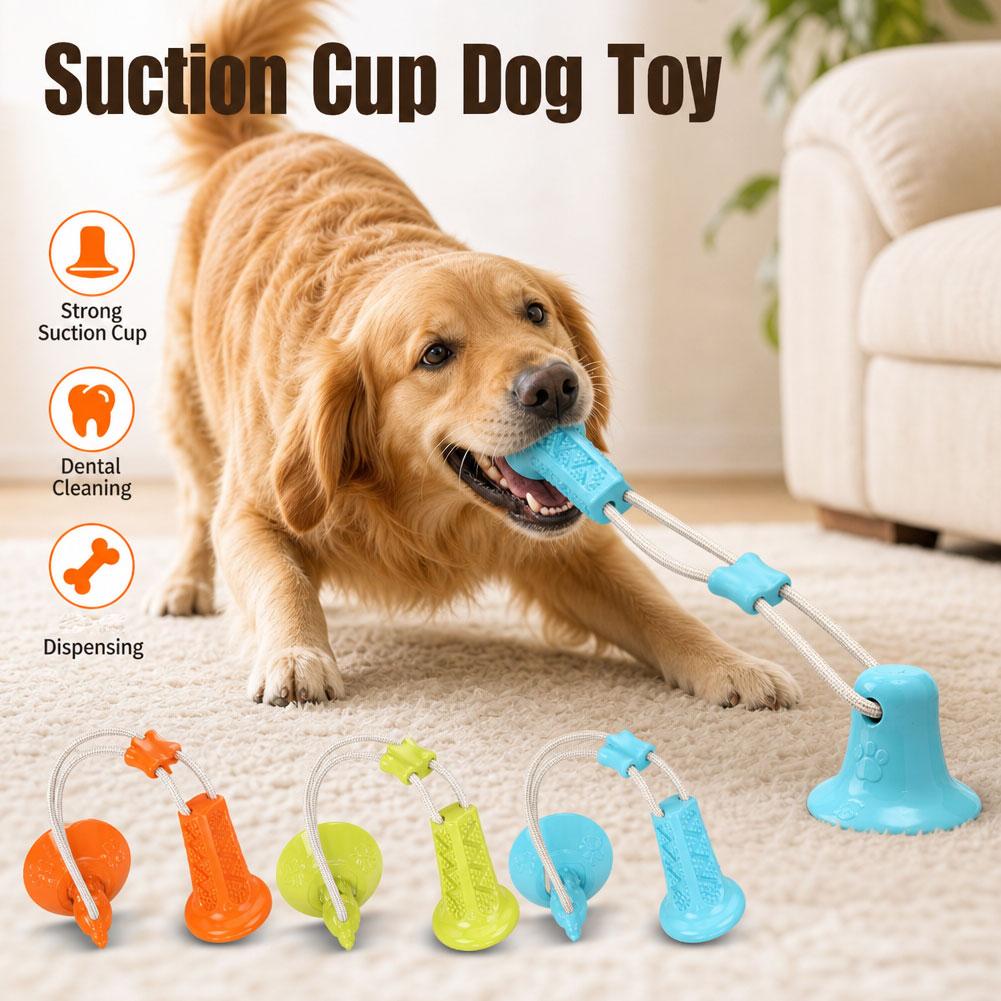 Saugnapf-Hundespielzeug Intera – Suction Cup Dog Tug Toy Bewertung und Preis