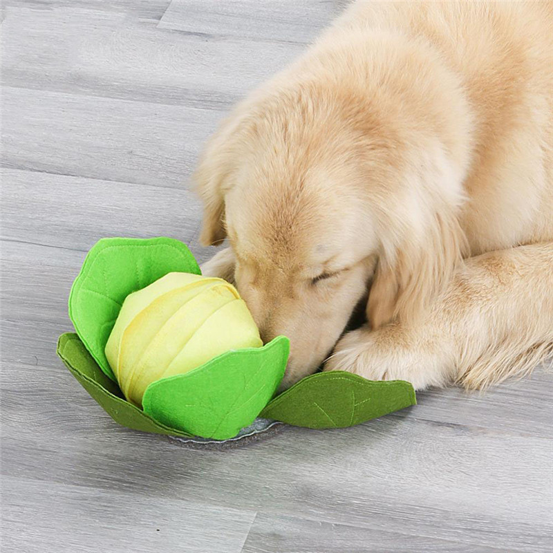 Haustier Hund Snuffle Matte Pe – Snuffle Mat For Dogs Bewertung und Preis