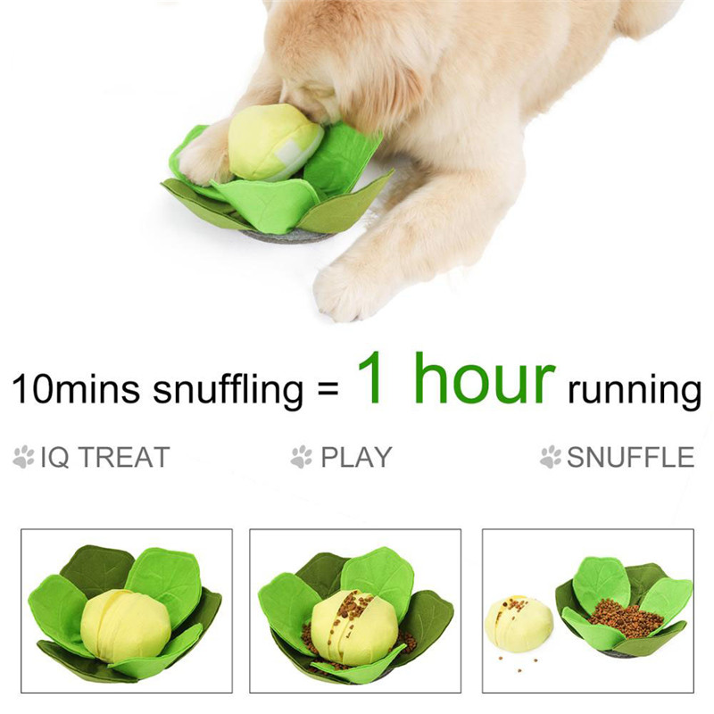 Haustier Hund Snuffle Matte Pe – Snuffle Mat For Dogs Bewertung und Preis