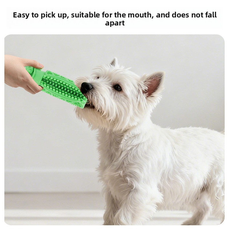 Hundezahnreinigungs-Kauspielze – Teeth Cleaning Dog Chew Bone Bewertung und Preis
