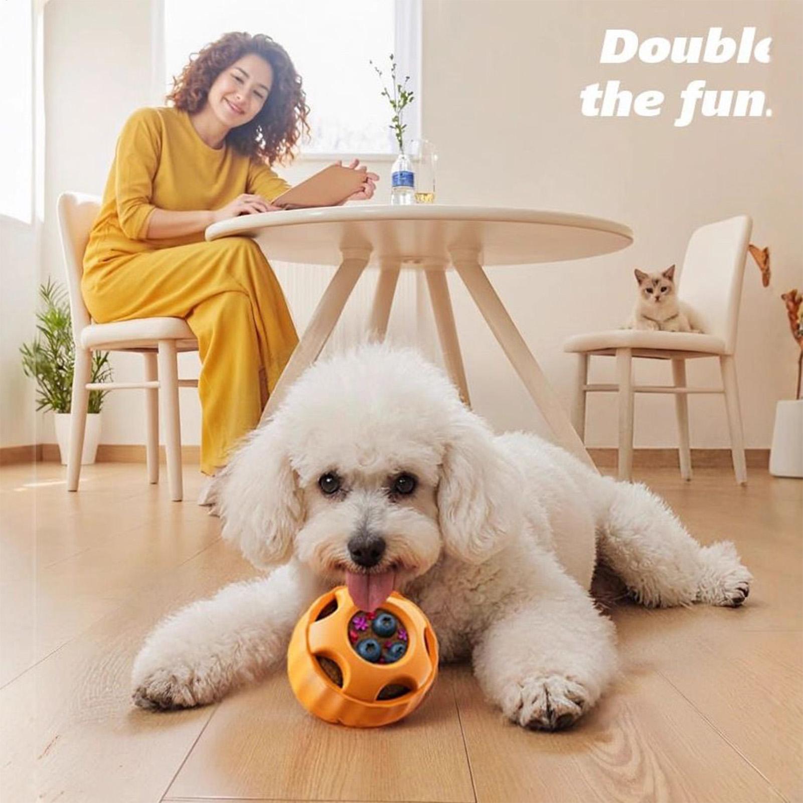 Leckerli-Ausgabe, Hundespielze – Dog Puzzle Feeder Toy Bewertung und Preis