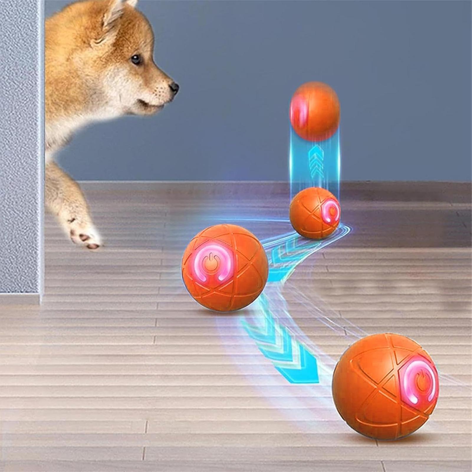 Intelligentes Interaktives Hun – Automatic Moving Dog Ball Bewertung und Preis
