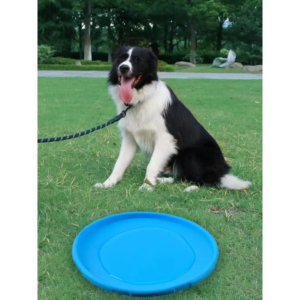 Hunde-Flugscheibe aus TPR, Int – Flying Disc Dog Training Toy Bewertung und Preis