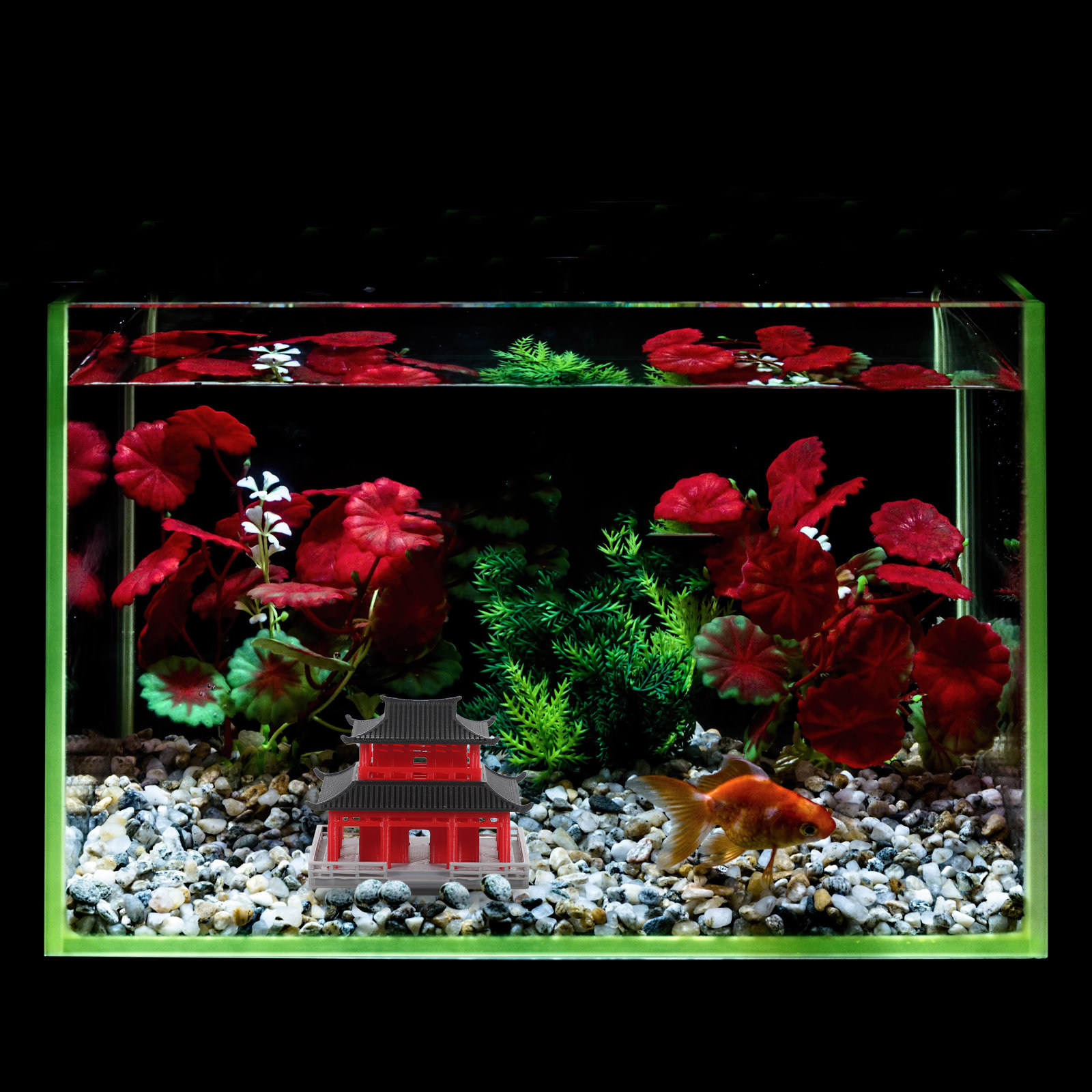 Chinesischer Antiker Pavillon  – Aquarium Bewertung und Preis