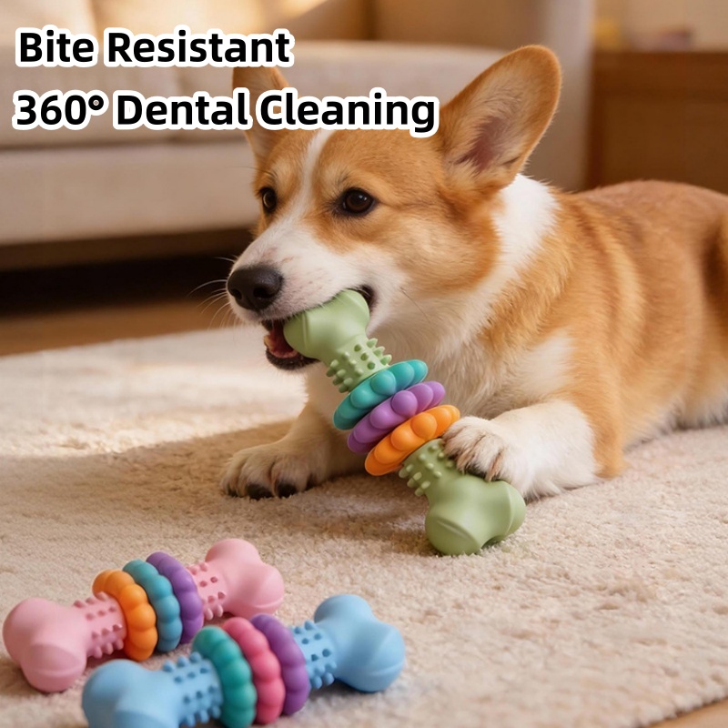 Langlebiges TPR-Hundekauknoche – Teeth Cleaning Dog Chew Bone Bewertung und Preis