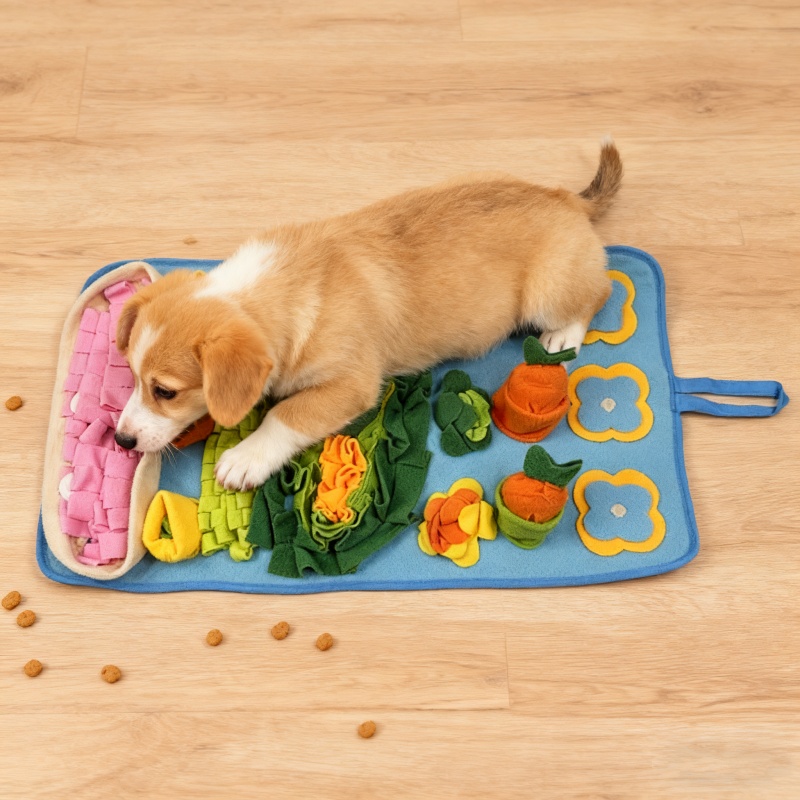 Hunde-Schnüffelmatte Puzzle-Sp – Snuffle Mat For Dogs Bewertung und Preis