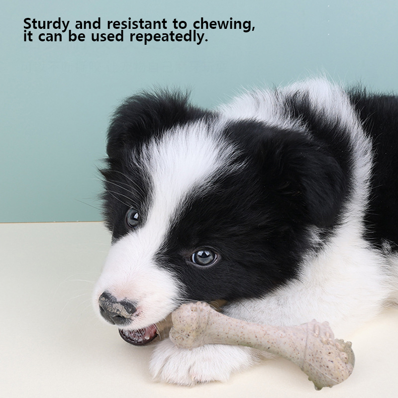12 cm große Haustierspielzeuge – Teeth Cleaning Dog Chew Bone Bewertung und Preis