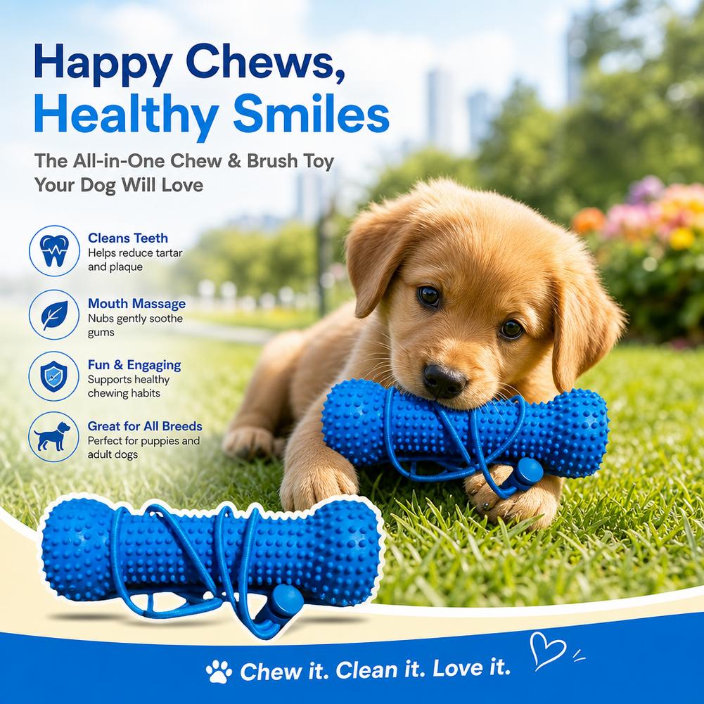 Hundezahnreinigungs-Kauspielze – Teeth Cleaning Dog Chew Bone Bewertung und Preis