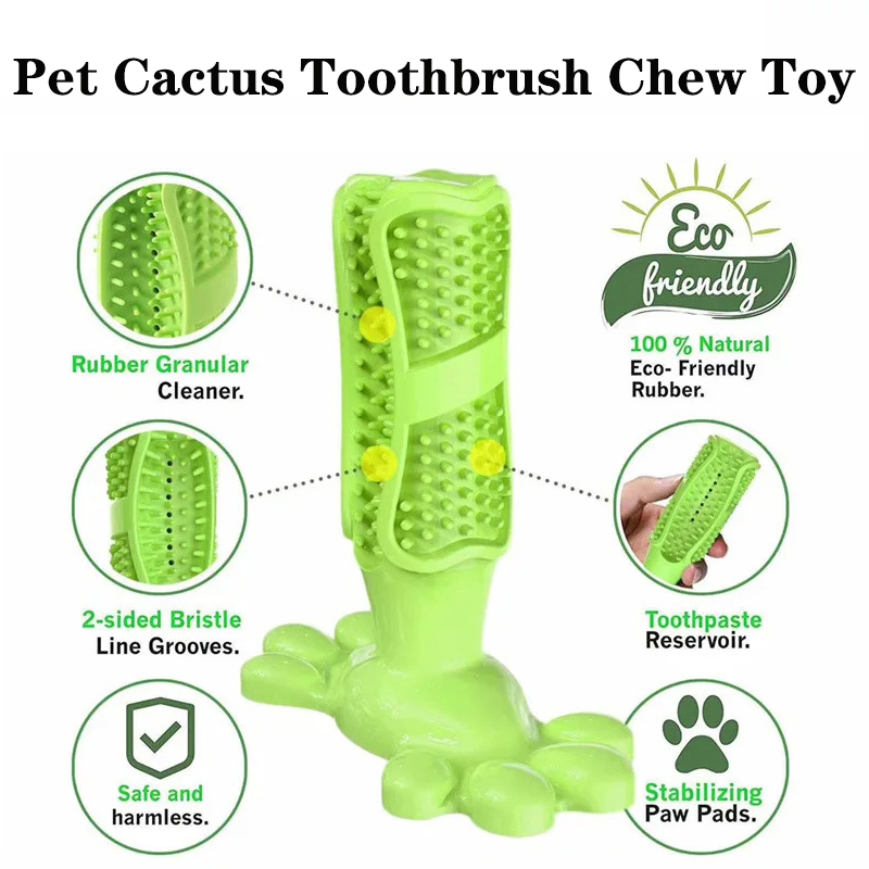 Haustier Hund Kaktus interakti – Rubber Treat Dispensing Dog Toy Bewertung und Preis