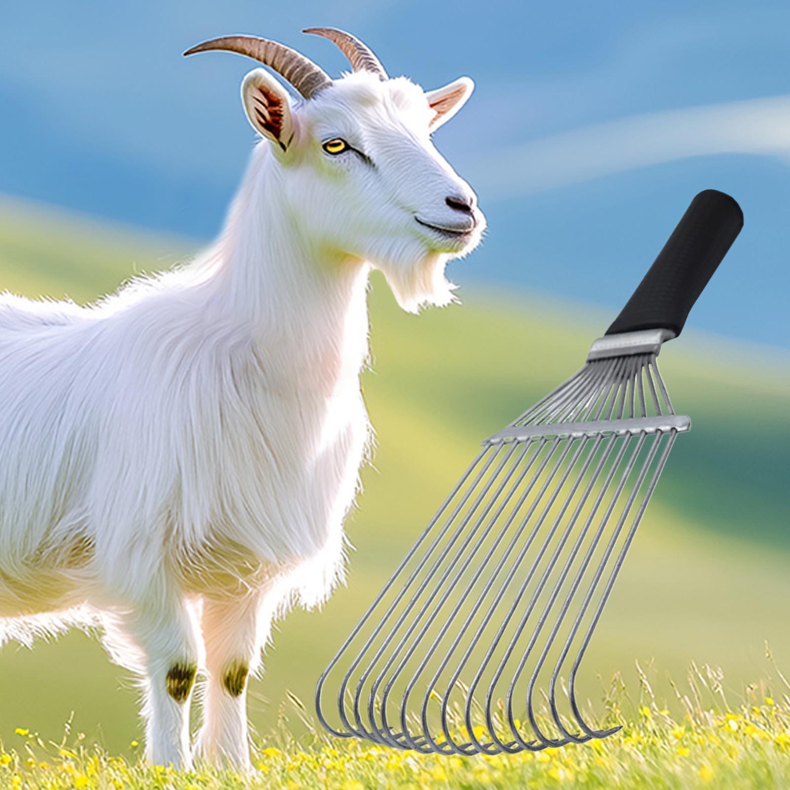 Unterwolle, Pflegerechen, Unte – Pet Grooming Bewertung und Preis