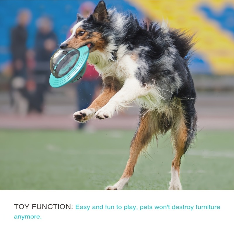 Interaktives Design, Hundeball – Dog Puzzle Feeder Toy Bewertung und Preis