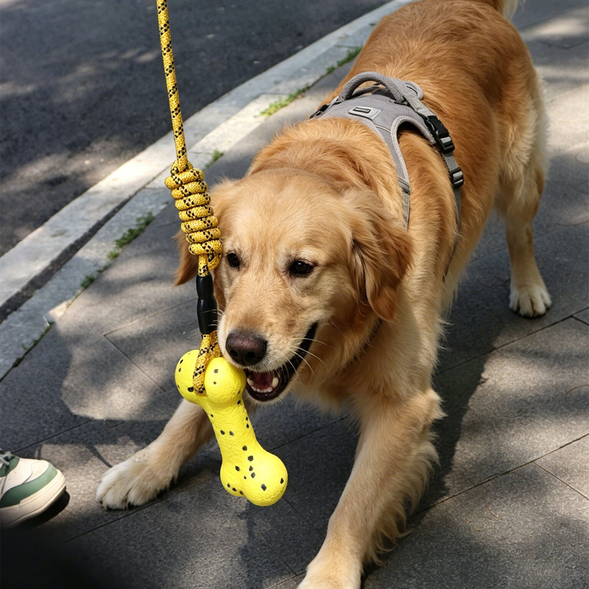 Robustes Hundeziehseil-Spielze – Dog Rope Toy Aggressive Chewers Bewertung und Preis