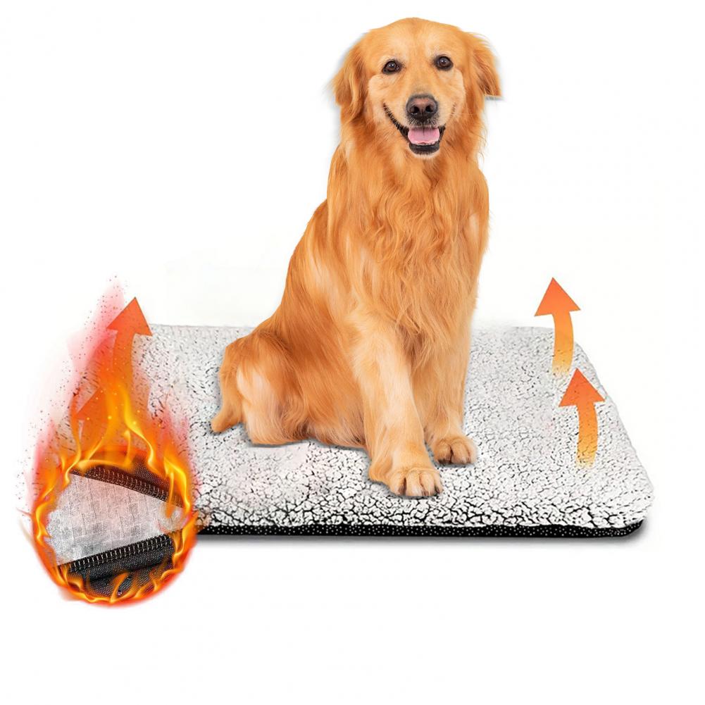 Warme Hundematte, kein Strom,  – Pet Beds Bewertung und Preis