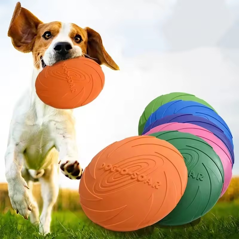 Interaktives Silikon-Flugschei – Flying Disc Dog Training Toy Bewertung und Preis
