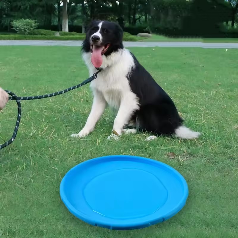 Interaktives Silikon-Flugschei – Flying Disc Dog Training Toy Bewertung und Preis