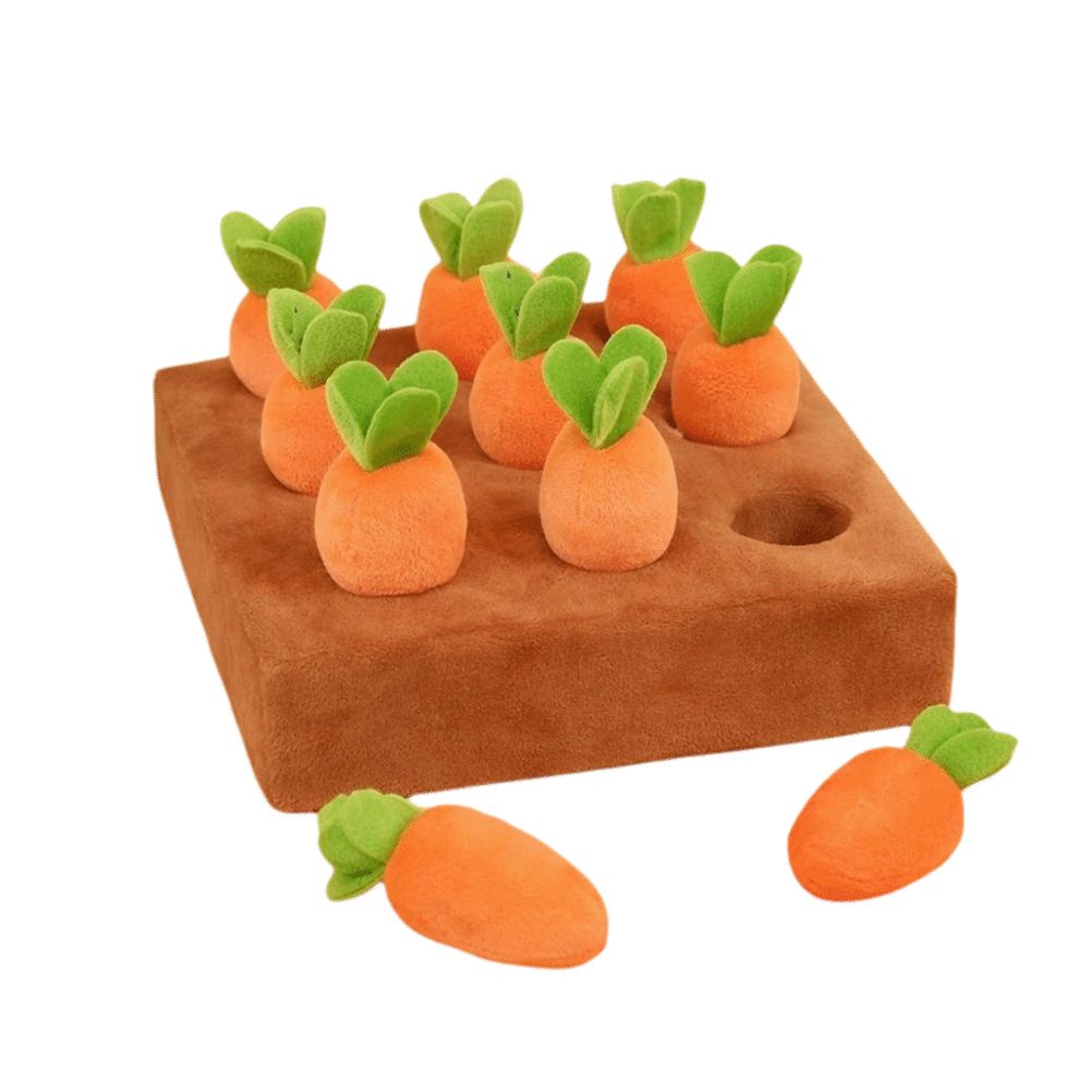 Stressabbau-Karotten-Schnüffel – Dog Puzzle Feeder Toy Bewertung und Preis