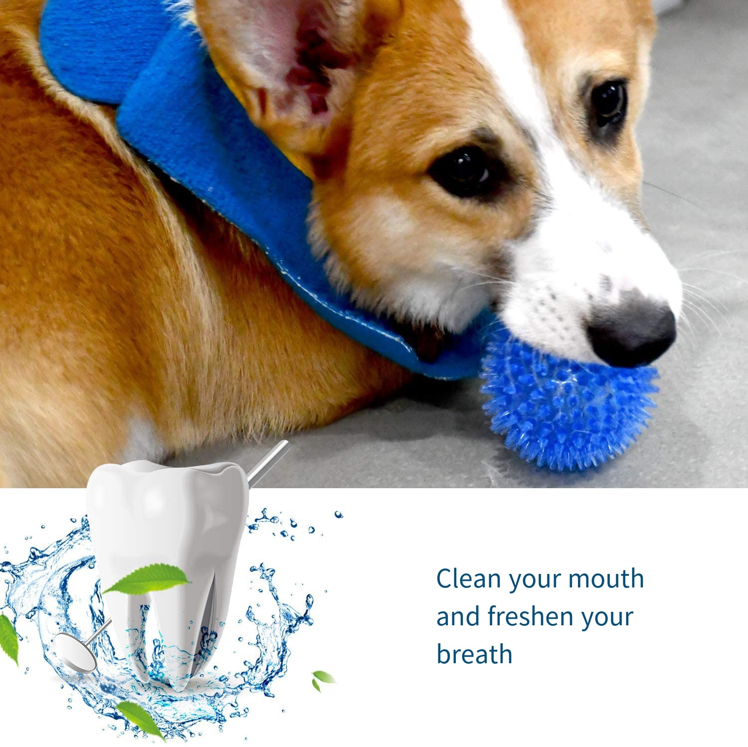 Hundespielzeug, Soundspielzeug – Suction Cup Dog Tug Toy Bewertung und Preis