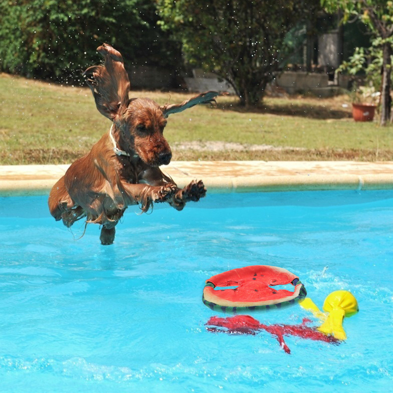 1 Stück Haustier-Spielzeug in  – Flying Disc Dog Training Toy Bewertung und Preis