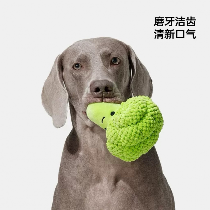 Hundespielzeug mit Geräuschen  – Interactive Squeaky Plush Dog Toy Bewertung und Preis