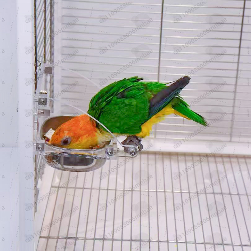 Futterbox für Papageien aus Ed – Pet Feeders Bewertung und Preis