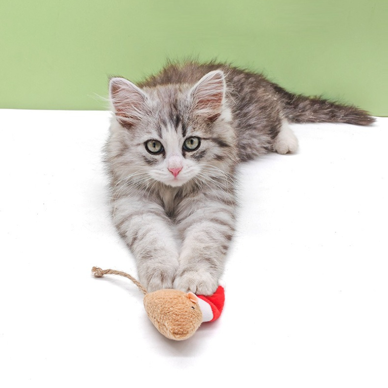 5 stücke Katze Push Kauen Spie – Catnip Interactive Plush Mouse Bewertung und Preis