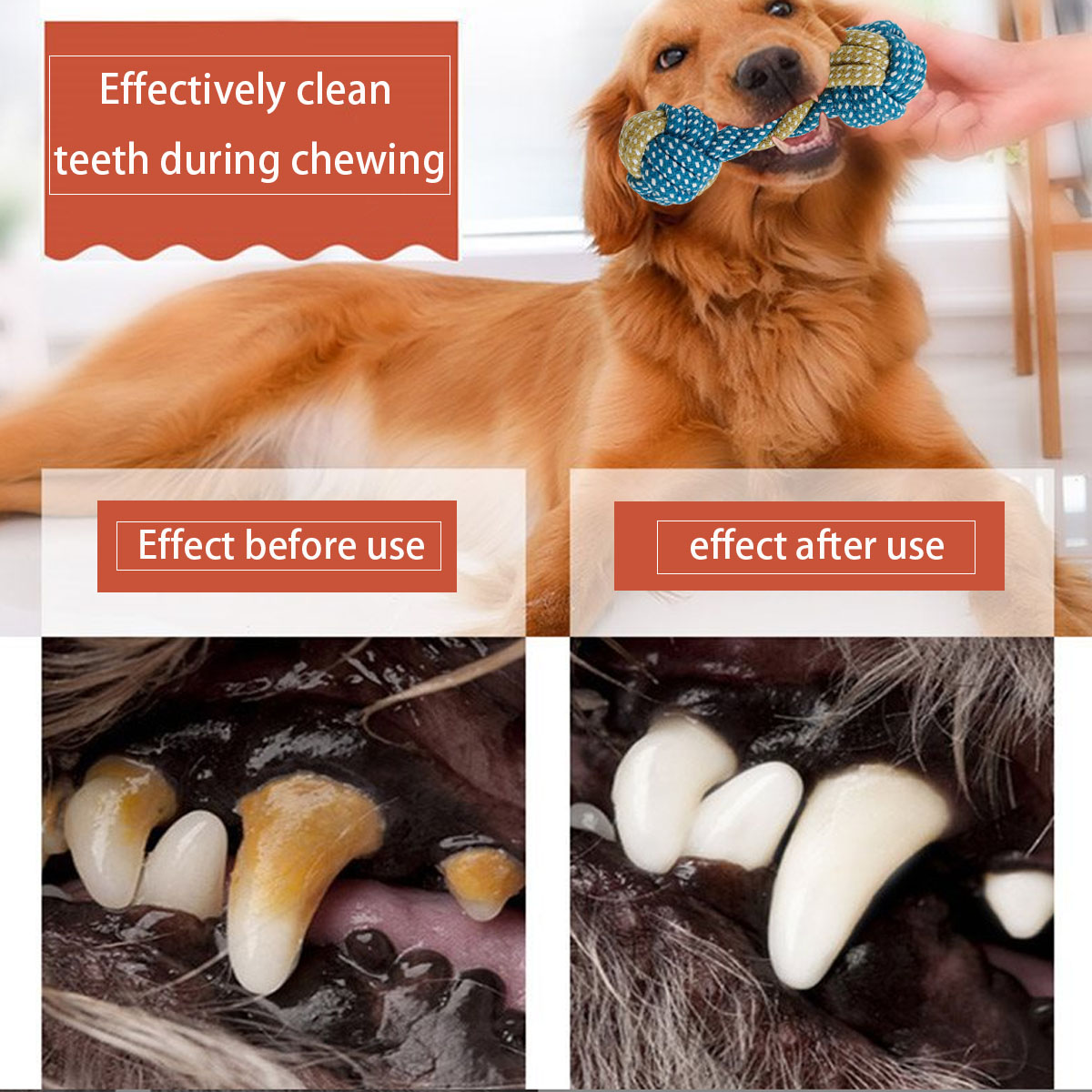 Neue 7PCS Haustier Hund Welpen – Teeth Cleaning Dog Chew Bone Bewertung und Preis
