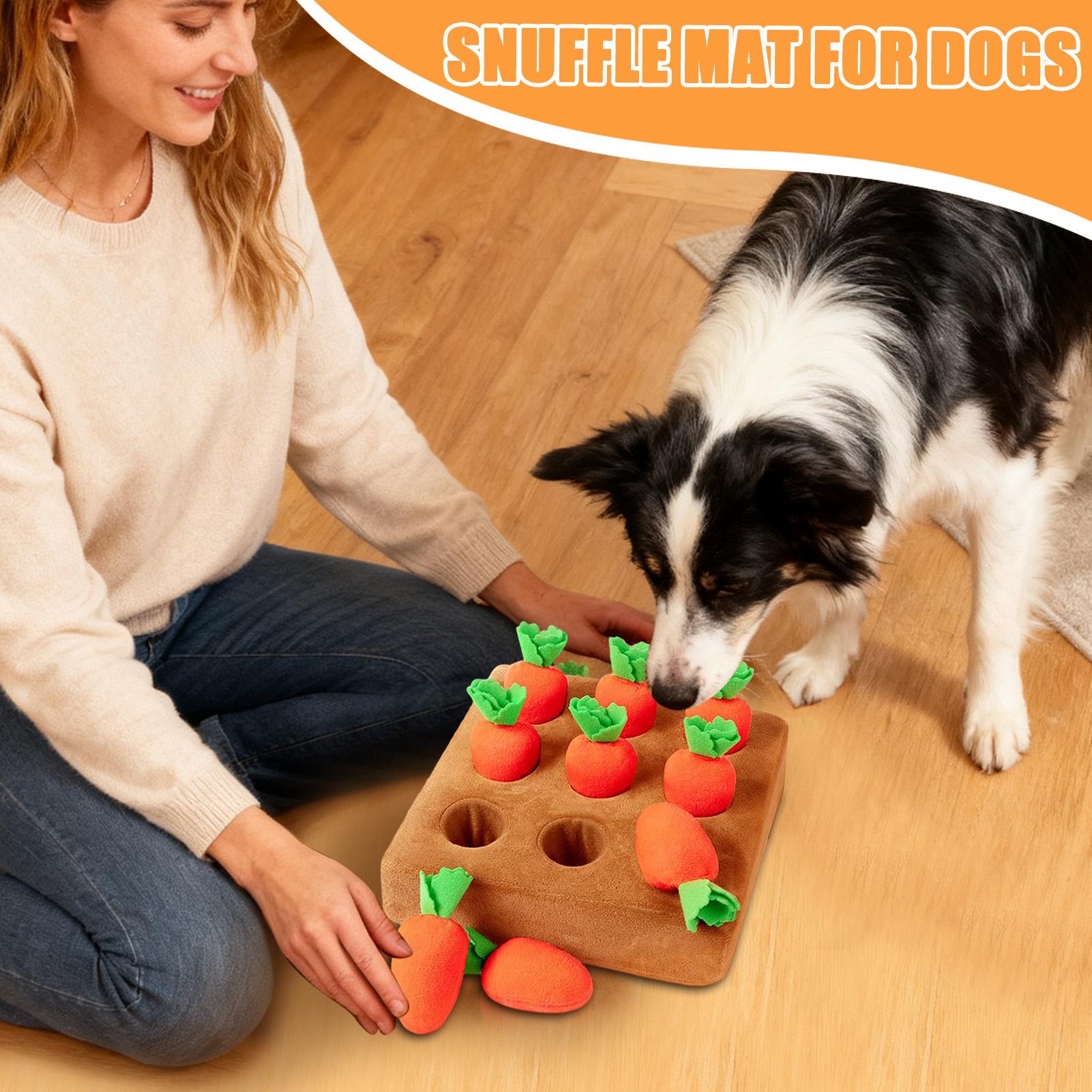 Interaktives Karotten-Spielzeu – Snuffle Mat For Dogs Bewertung und Preis