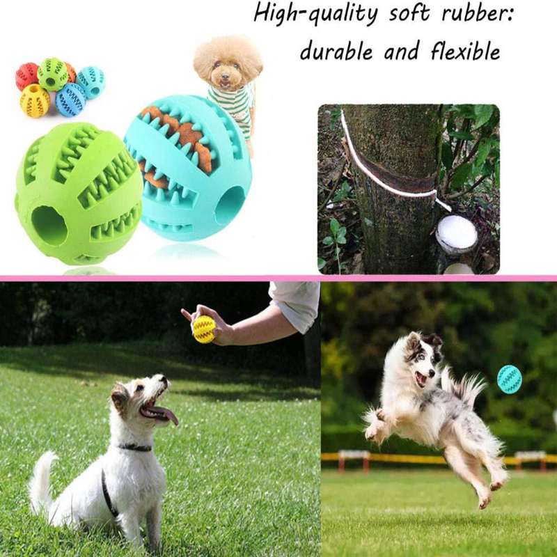 Interaktiver, ungiftiger, biss – Dog Puzzle Feeder Toy Bewertung und Preis