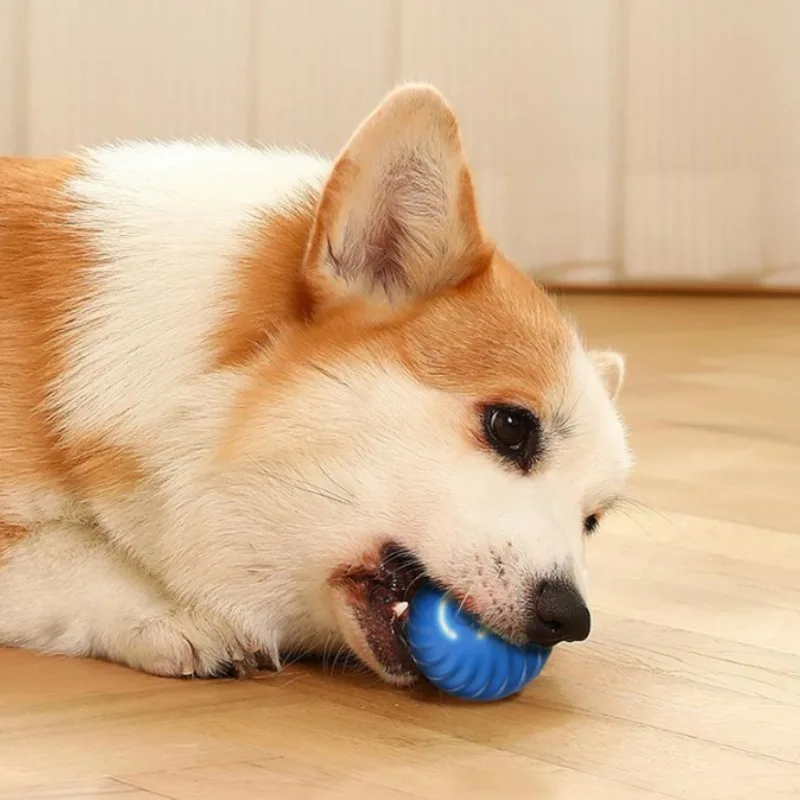@1G-Hundespielzeugball, automa – Automatic Moving Dog Ball Bewertung und Preis