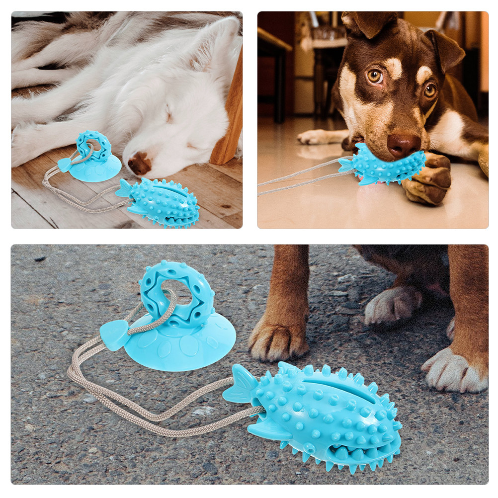 2 Stück Saugnapf-Hundespielzeu – Suction Cup Dog Tug Toy Bewertung und Preis