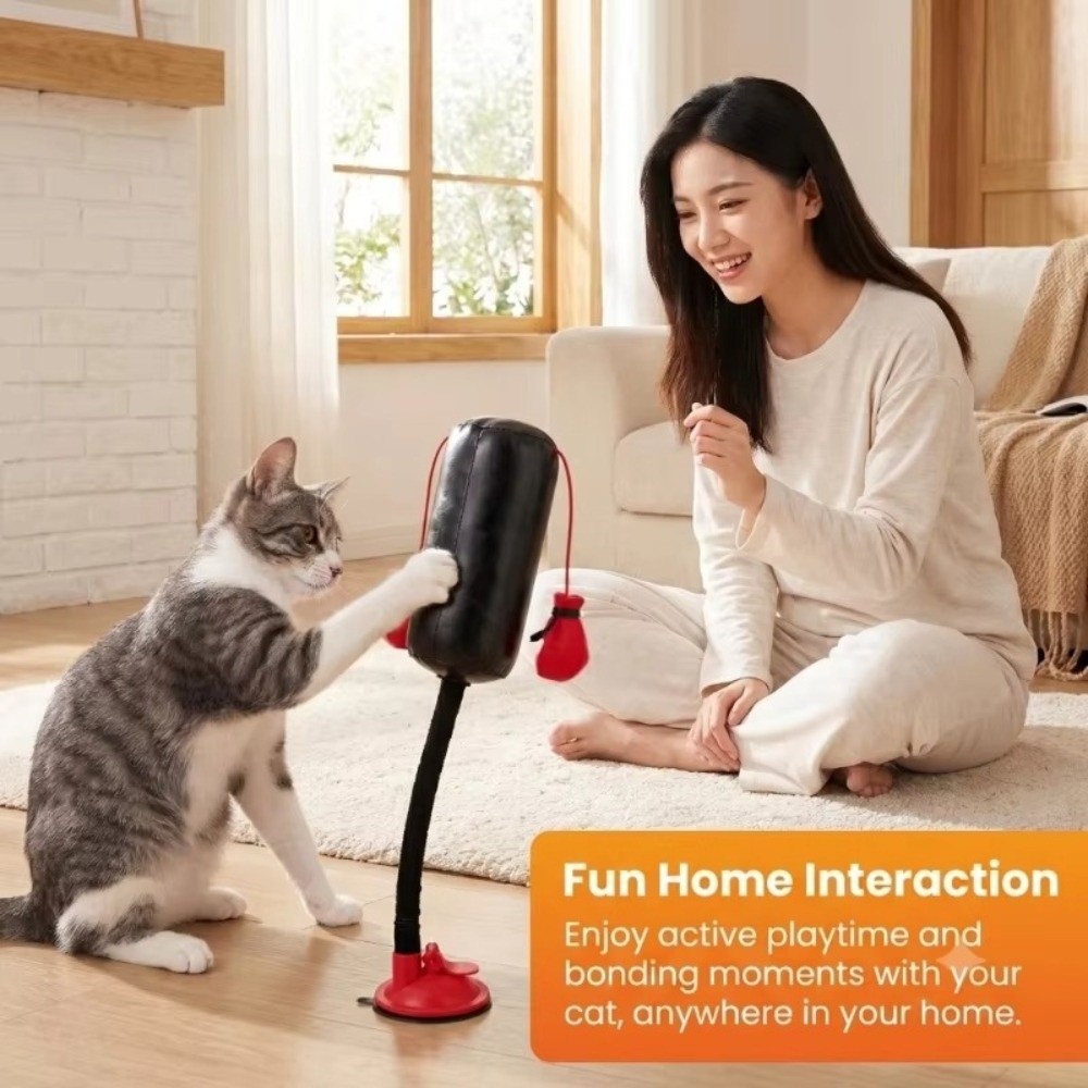 Katzen-Boxspielzeug mit Saugna – Interactive Squeaky Plush Dog Toy Bewertung und Preis