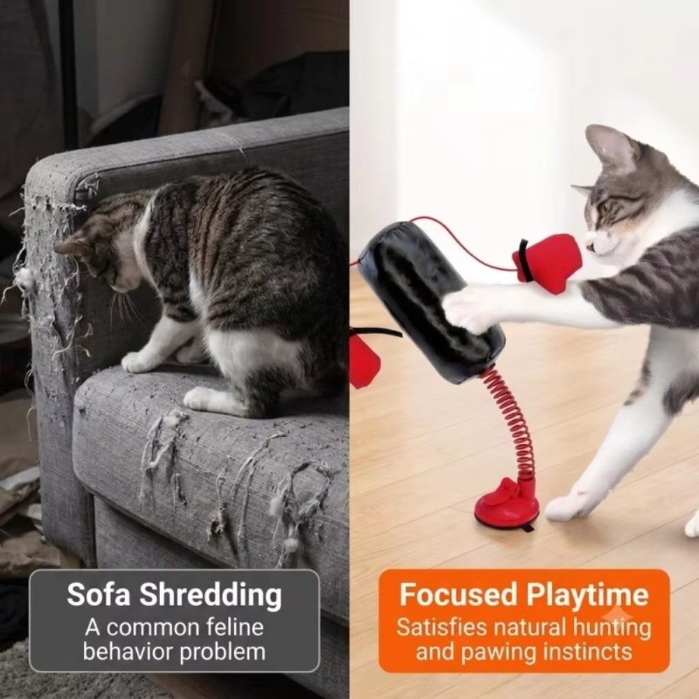 Katzen-Boxspielzeug mit Saugna – Interactive Squeaky Plush Dog Toy Bewertung und Preis
