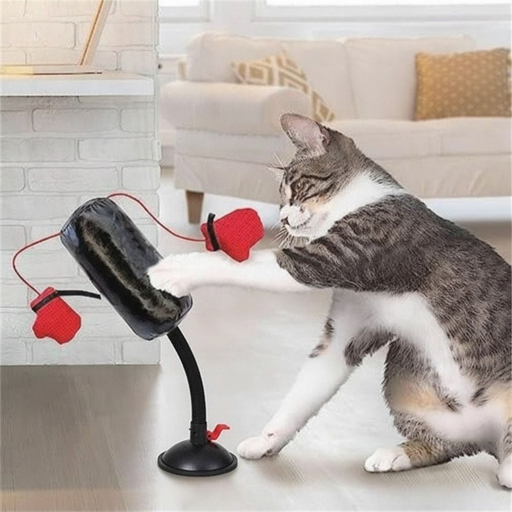 Katzen-Boxspielzeug mit Saugna – Interactive Squeaky Plush Dog Toy Bewertung und Preis