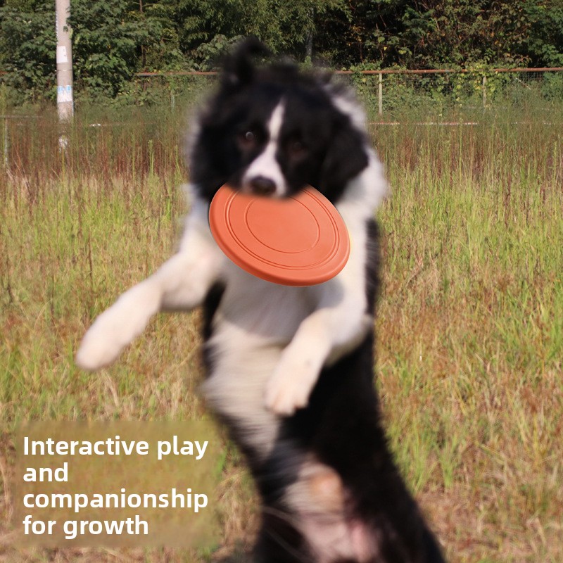 Bissfeste Schwimmende Weiche H – Flying Disc Dog Training Toy Bewertung und Preis