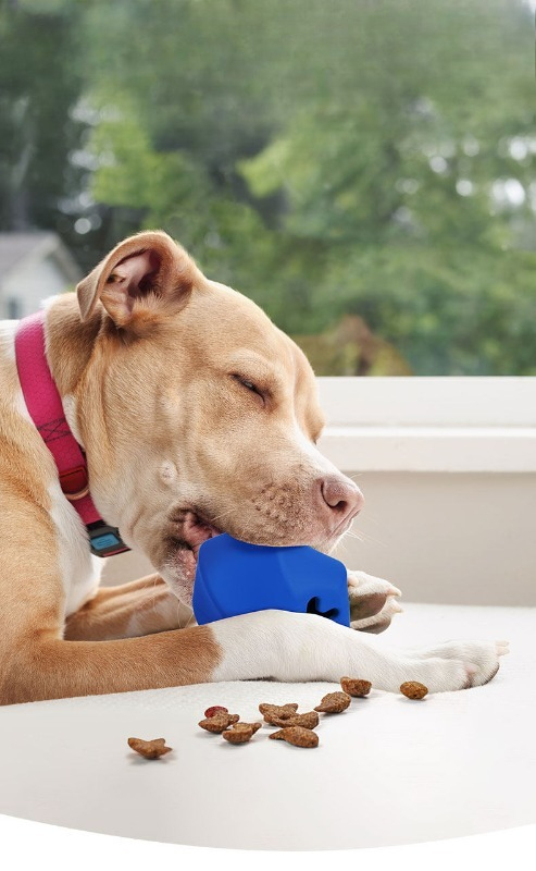 Langlebiges Gummi-Hundespielze – Rubber Treat Dispensing Dog Toy Bewertung und Preis