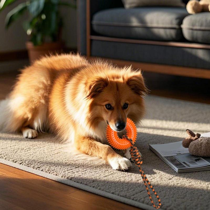 Quietschendes Spielzeug für Hu – Dog Rope Toy Aggressive Chewers Bewertung und Preis