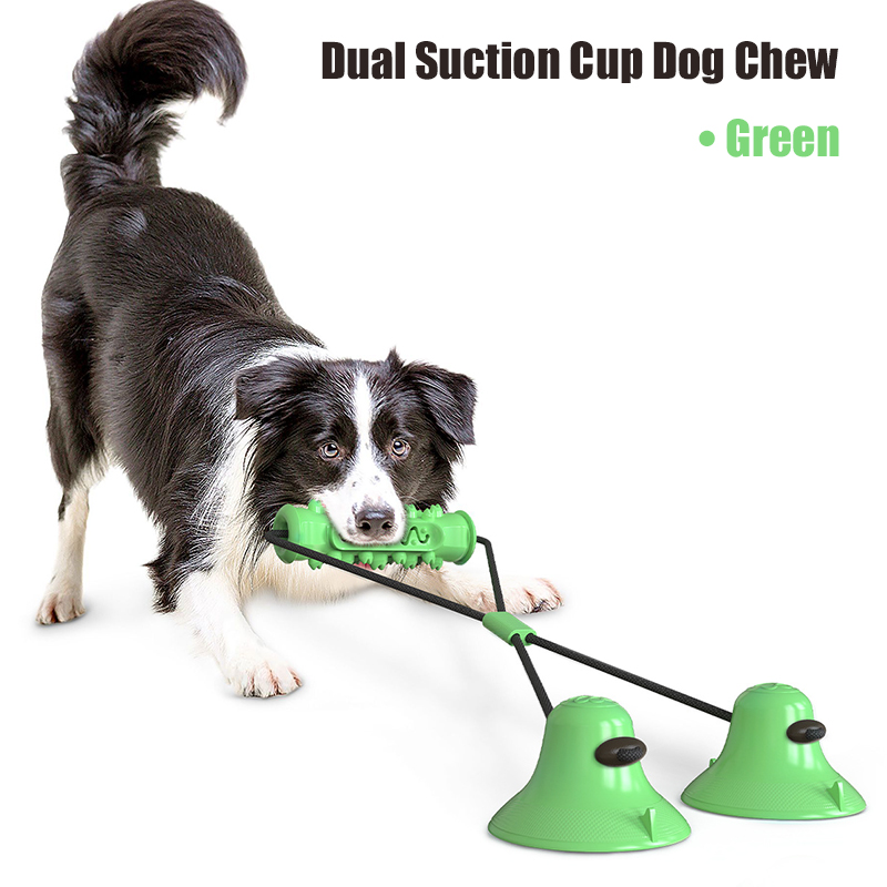 Hundespielzeug mit zwei Saugnä – Suction Cup Dog Tug Toy Bewertung und Preis