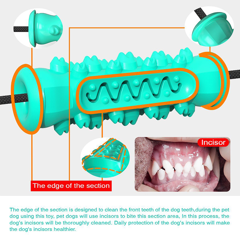 Hundespielzeug mit zwei Saugnä – Suction Cup Dog Tug Toy Bewertung und Preis