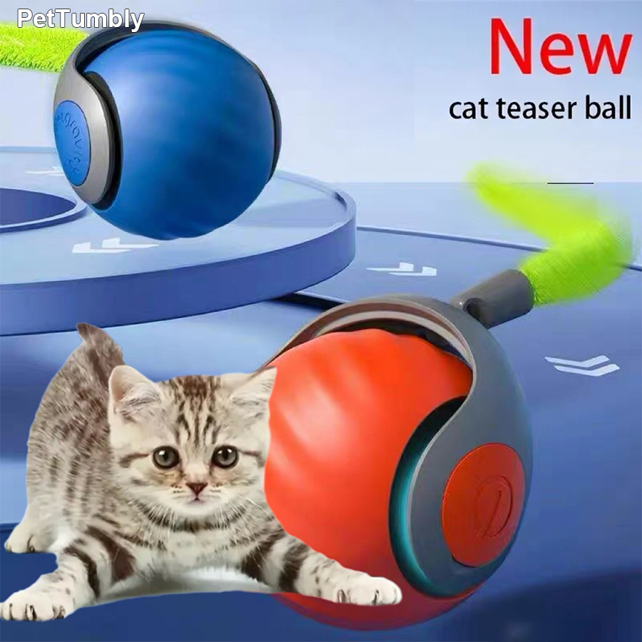 Interaktiver Katzenspielball,  – Automatic Moving Dog Ball Bewertung und Preis