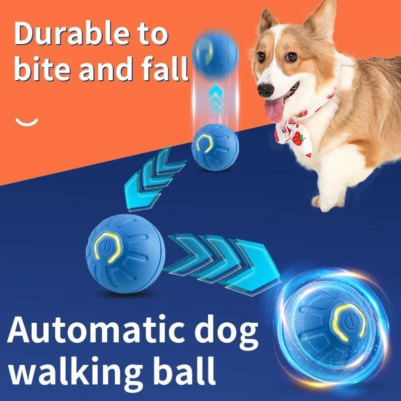 Intelligenter Hundespielball E – Automatic Moving Dog Ball Bewertung und Preis