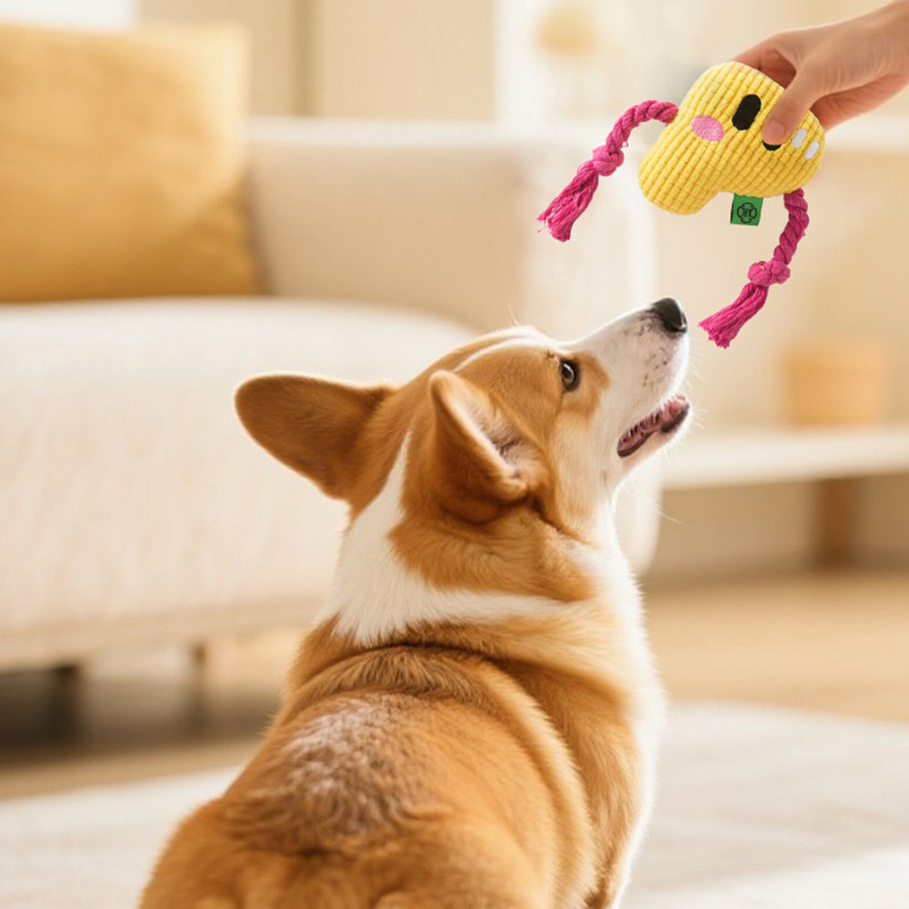 Kauspielzeug für Hunde – langl – Dog Rope Toy Aggressive Chewers Bewertung und Preis