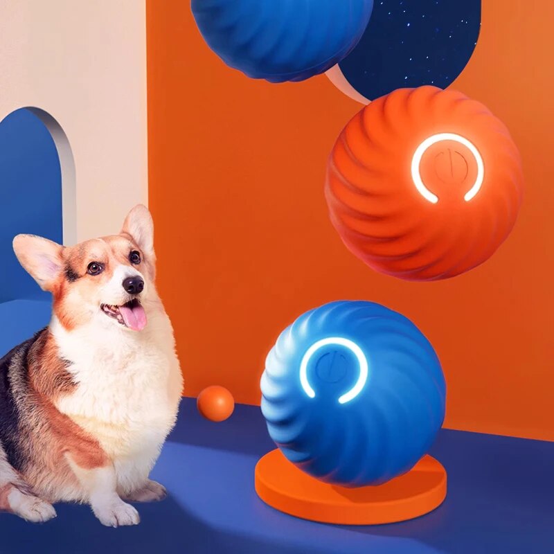 Hundespielzeug, intelligenter  – Suction Cup Dog Tug Toy Bewertung und Preis