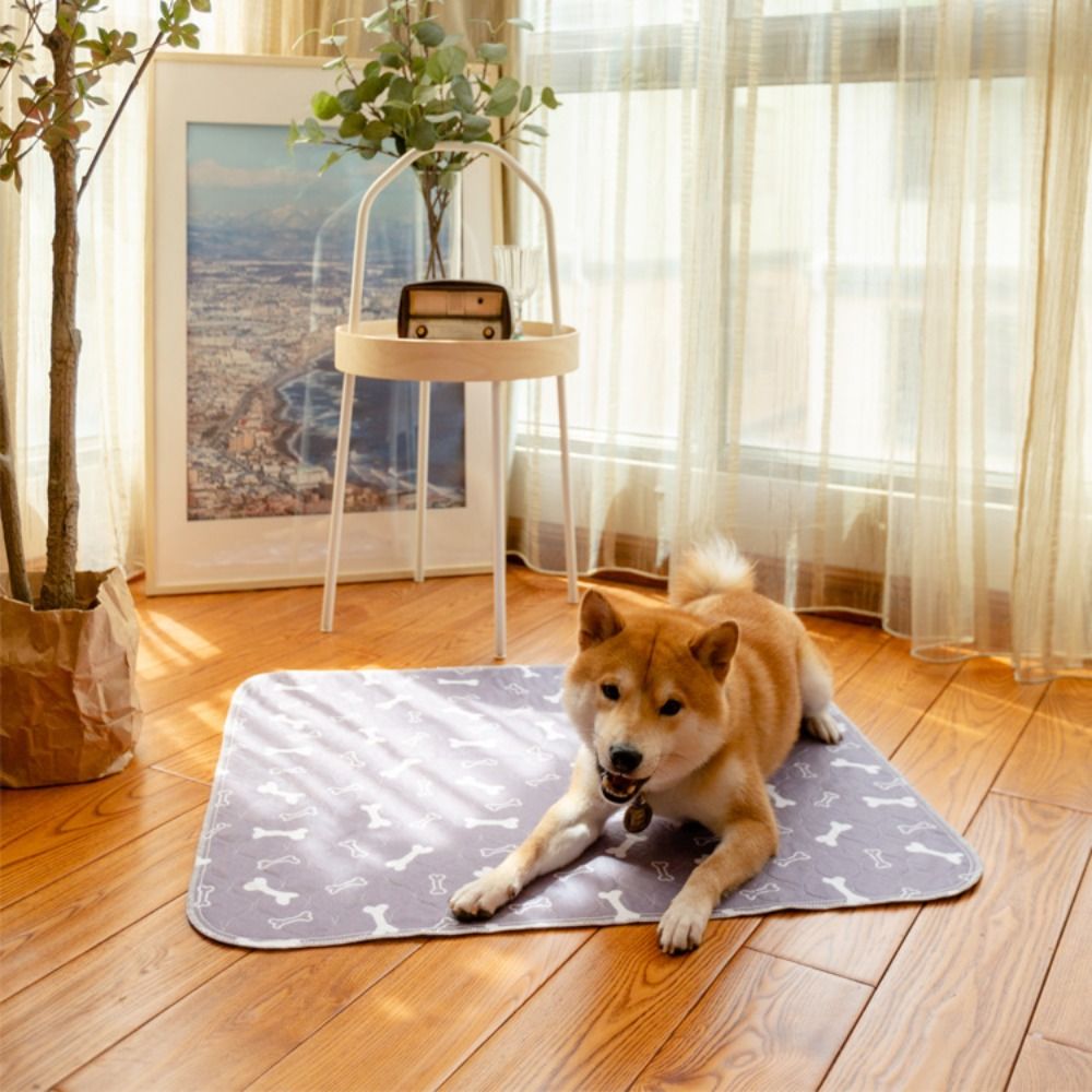 Langlebige, Superabsorbierende – Pet Beds Bewertung und Preis