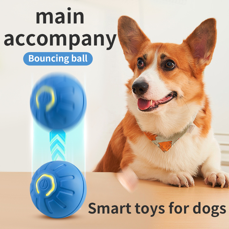 Automatischer beweglicher Hund – Automatic Moving Dog Ball Bewertung und Preis