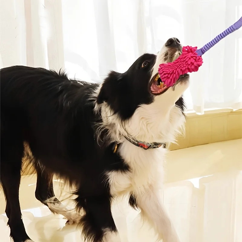 K Robuste Hundespielzeuge für  – Dog Rope Toy Aggressive Chewers Bewertung und Preis