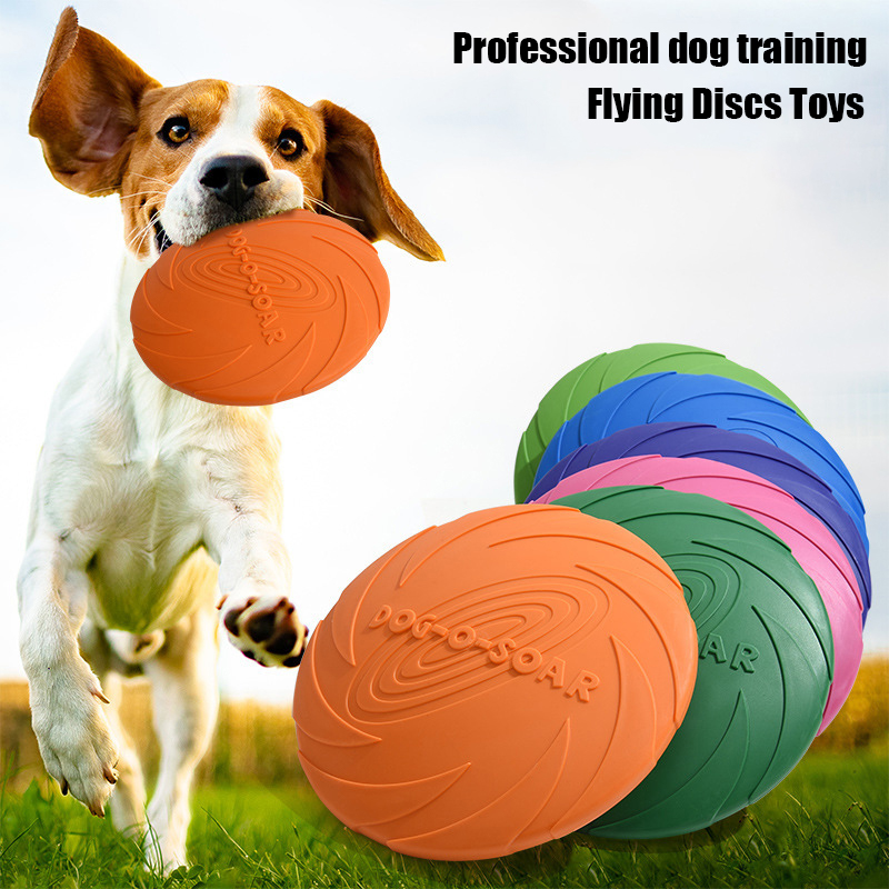 Großer Hundespielzeug-Frisbee  – Flying Disc Dog Training Toy Bewertung und Preis